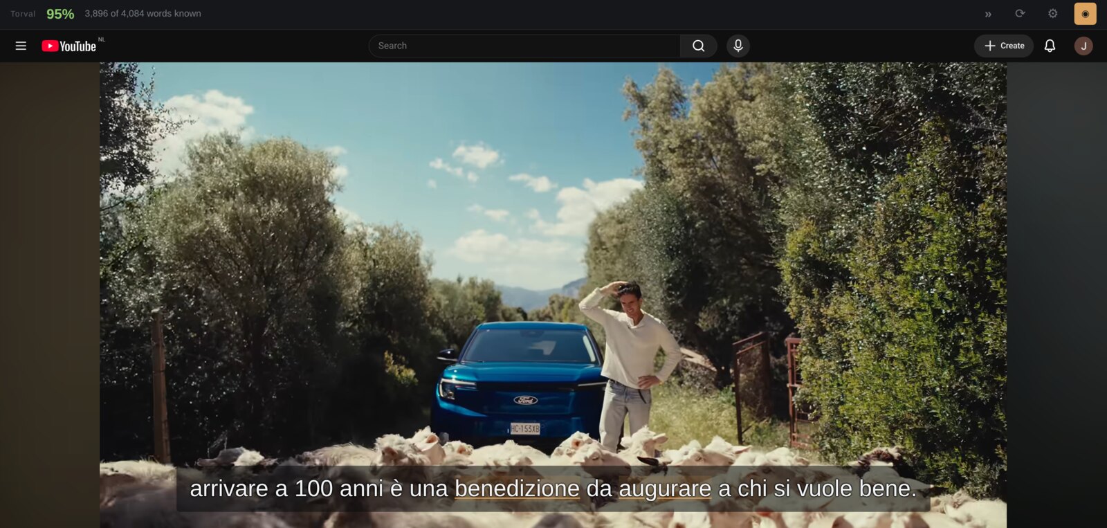 An
    Italian video on YouTube with the Torval bar reading 95 per cent, and the
    subtitle line below it with two words underlined as unknown.